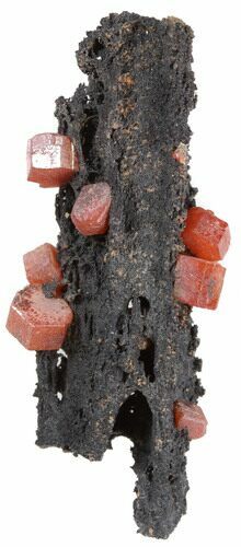 Red Vanadinite Crystals on Manganese Oxide - Morocco #38469